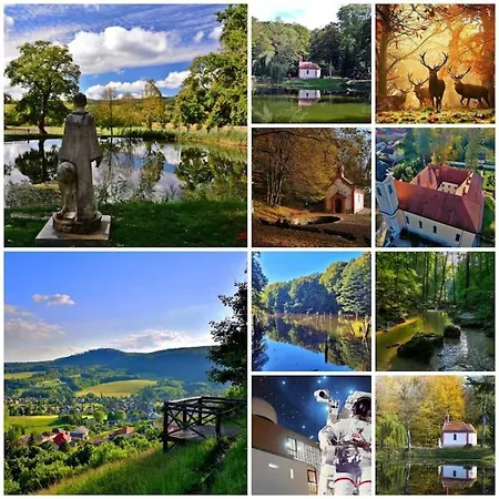 Fahaz A Fenyok Alatt - Borostyankut Wellness Ii Apartmán *