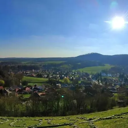 Fahaz A Fenyok Alatt - Borostyankut Wellness Ii