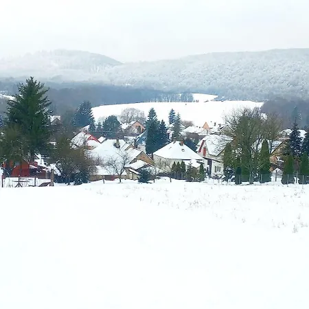 Fahaz A Fenyok Alatt - Borostyankut Wellness Ii *