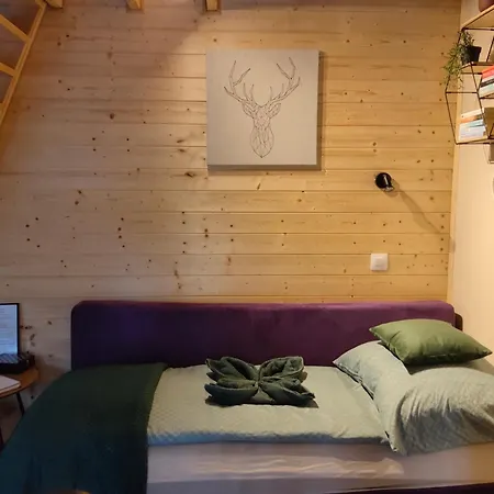 Fahaz A Fenyok Alatt - Borostyankut Wellness Ii *