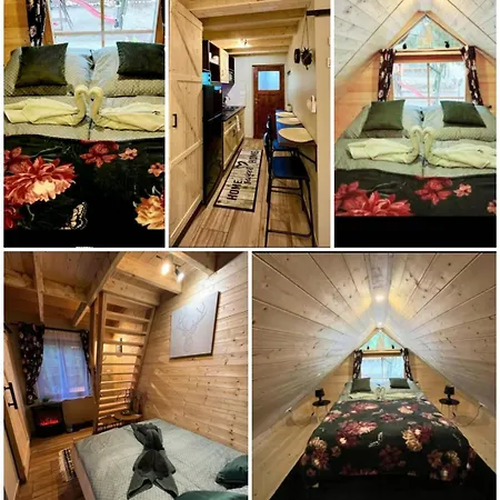 Fahaz A Fenyok Alatt - Borostyankut Wellness Ii *