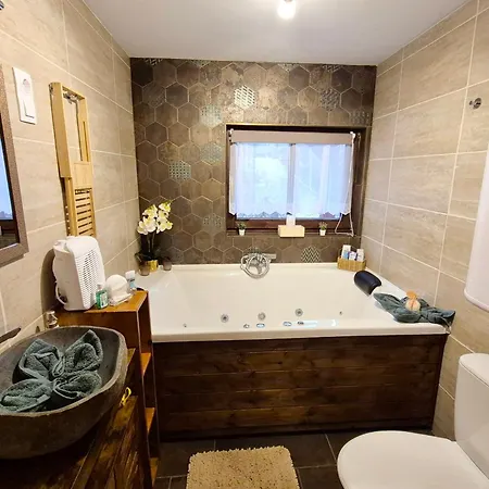 Fahaz A Fenyok Alatt - Borostyankut Wellness Ii Apartmán *