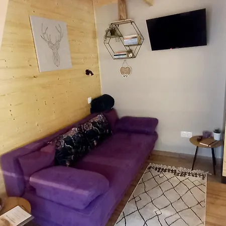 Fahaz A Fenyok Alatt - Borostyankut Wellness Ii