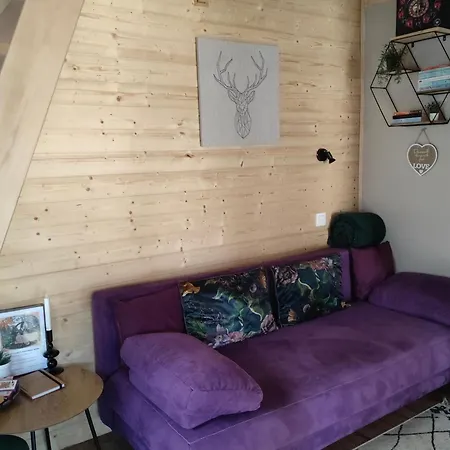 Fahaz A Fenyok Alatt - Borostyankut Wellness Ii * Bakonybél