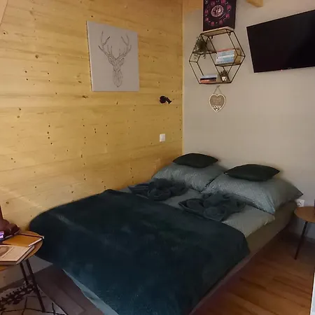 Fahaz A Fenyok Alatt - Borostyankut Wellness Ii Apartmán *