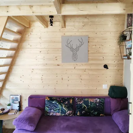 Fahaz A Fenyok Alatt - Borostyankut Wellness Ii Apartmán