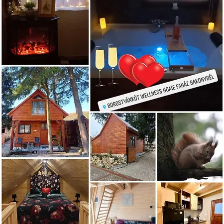 Apartmán Fahaz A Fenyok Alatt - Borostyankut Wellness Ii