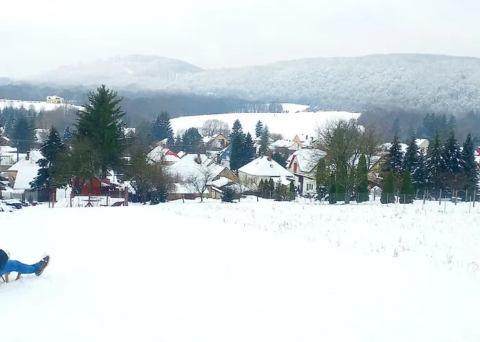 Fahaz A Fenyok Alatt - Borostyankut Wellness Ii *