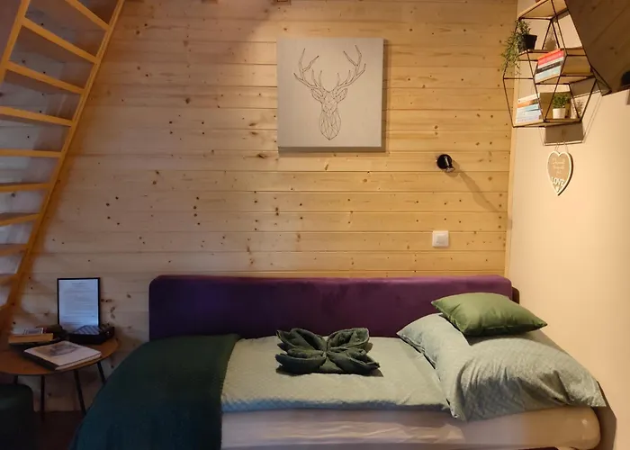 Fahaz A Fenyok Alatt - Borostyankut Wellness Ii *