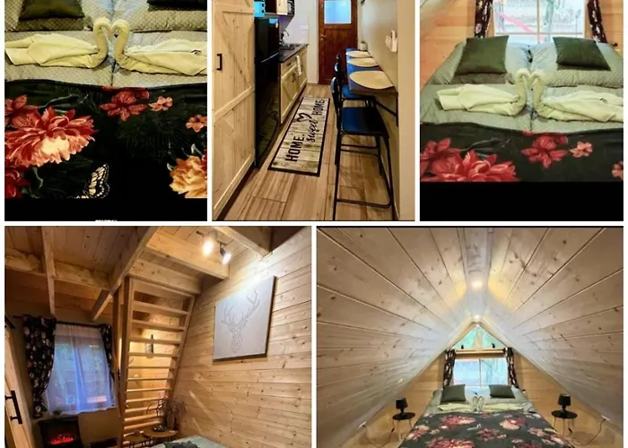 Fahaz A Fenyok Alatt - Borostyankut Wellness Ii *