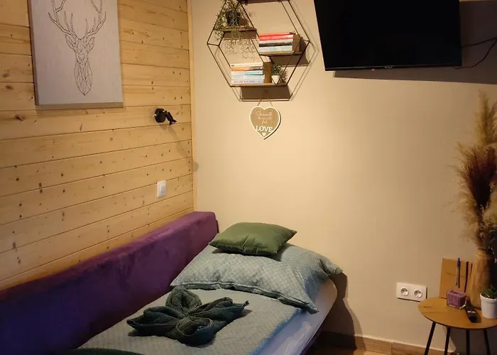 Fahaz A Fenyok Alatt - Borostyankut Wellness Ii