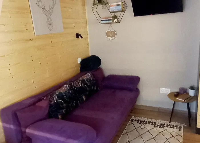 Fahaz A Fenyok Alatt - Borostyankut Wellness Ii