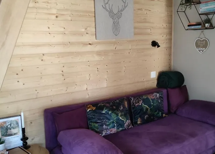 Fahaz A Fenyok Alatt - Borostyankut Wellness Ii * Баконьбель