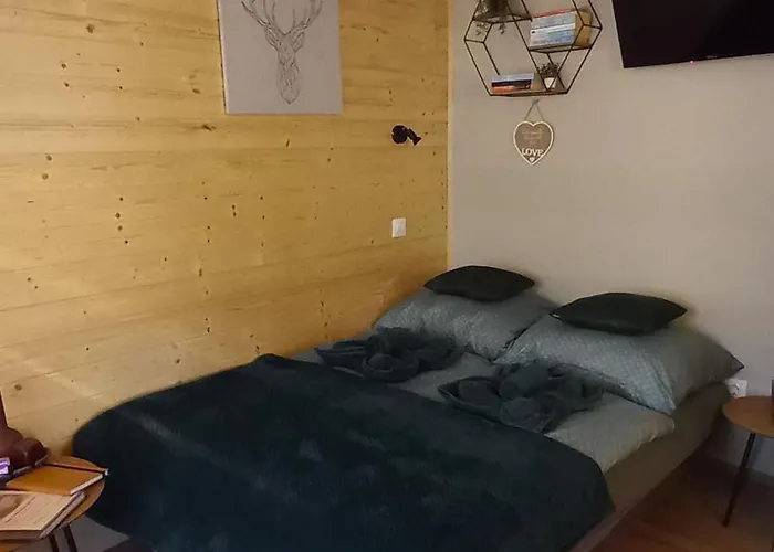 Fahaz A Fenyok Alatt - Borostyankut Wellness Ii Апартаменты *