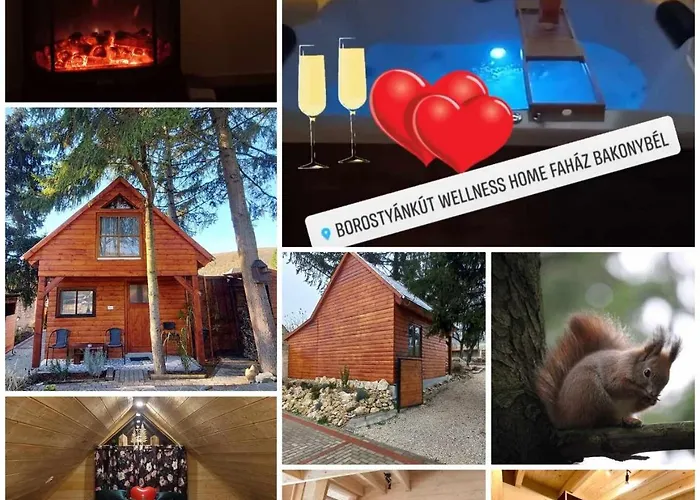 Апартаменты Fahaz A Fenyok Alatt - Borostyankut Wellness Ii